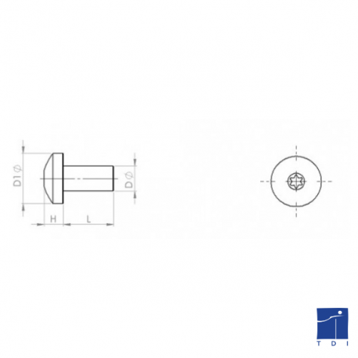 Vis autoformeuse à métaux tête cylindrique bombée 6 lobes Internes DIN 7500C TORX M5 X 0.80 X 40mm acier cémenté zingué blanc