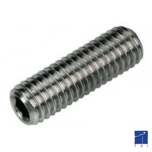 Hexagonal socket head cap screw DIN 913 M8 X 1.25 X 20mm Stainless steel A4