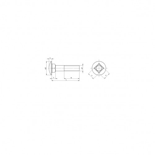 Round head square neck screws DIN 603 M10 X 1.50 X 30mm Stainless steel A2