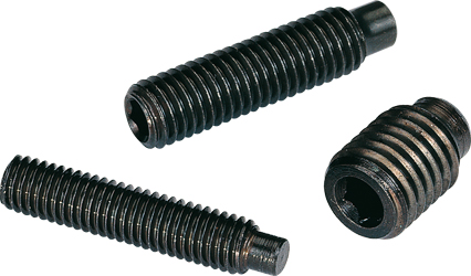 Hexagonal socket head cap screw DIN 915 M8 X 1.25 X 10mm cl.45H